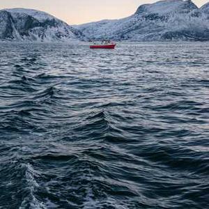 Silicone Baking Molds