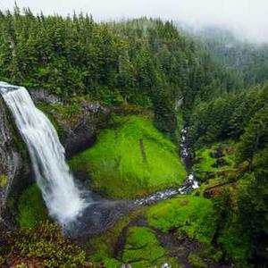 Roasted Garlic Butter