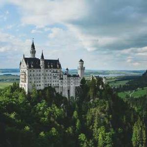 Frozen Mixed Berries