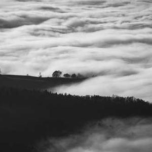 Coconut Cream Pie Mix