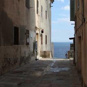 Teriyaki Chicken Wings