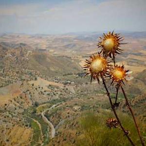Heated Throw Blanket