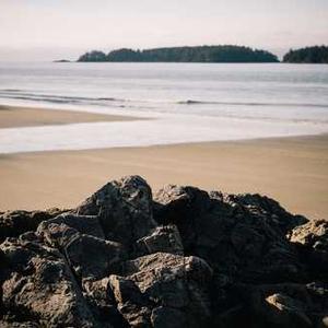 Animal Paw Print Soap Dispenser
