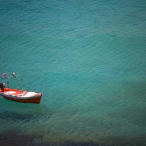 Spicy Garlic Edamame