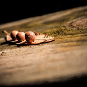 Cheesy Broccoli Soup Mix