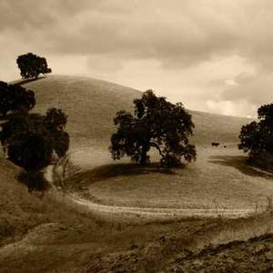 High-Quality Yoga Block