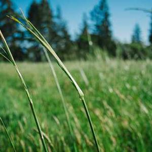 Fitness Tracker Watch