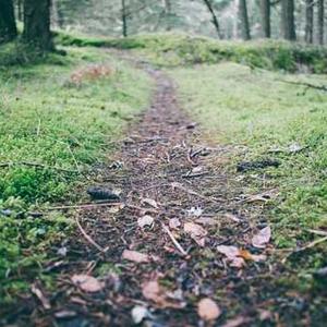 Decorative Wall Tapestry