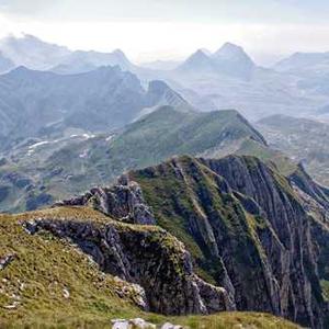 Teriyaki Tofu Stir-Fry