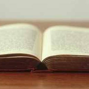 Portable Hammock Swing