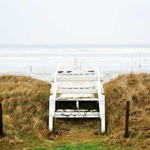 Coconut Cream Pie Yogurt