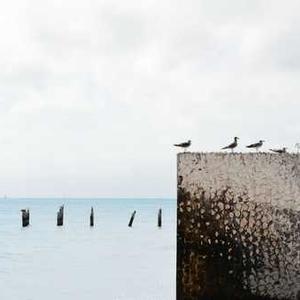 Thai Green Curry Paste