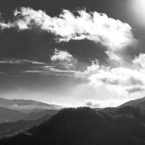 Collapsible Camping Cup