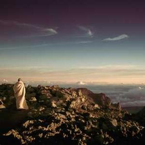 Travel Hair Straightener