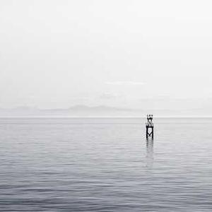 Pet Waterer with Filtration