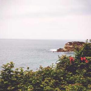 Wi-Fi Enabled Smart Light Switch