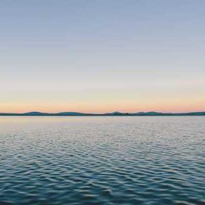 Ginger Turmeric Shots