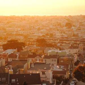 Organic Baby Carrots