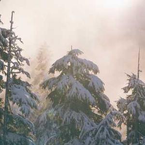 Kids' Building Blocks