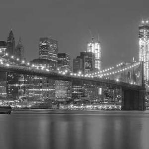 Lentil Soup (canned)