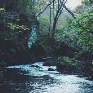 Oven-Baked Parmesan Zucchini