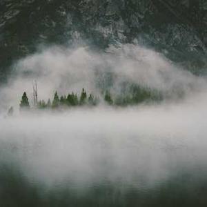 Chocolate Dipped Fruit