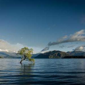 Herb-Infused Olive Oil
