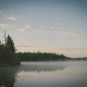 Italian Sausage Links