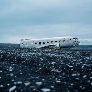 Organic Baby Carrots