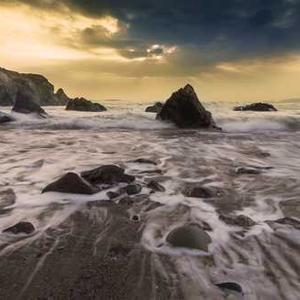 Tomato Basil Pasta Sauce