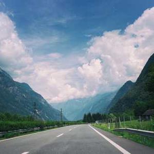 Dog Training Whistle