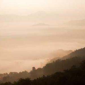 LED Strip Lights with Remote Control