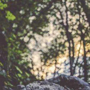 Cereal Dispenser with Portion Control