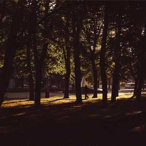 Wireless Charger Stand