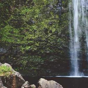 Organic Tomato Ketchup