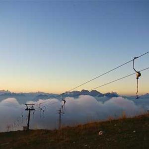 Dog Waste Bag Dispenser