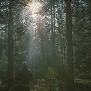 Herb-Infused Olive Oil