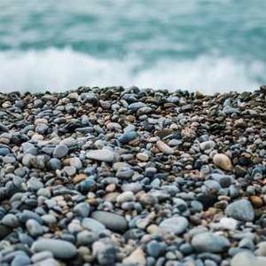 Personalized Pet ID Tags