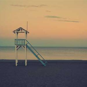 Caribbean Jerk Marinade