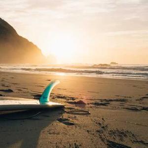 Multi-Purpose Scissors