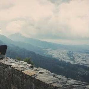 Cat Scratching Post with Toys