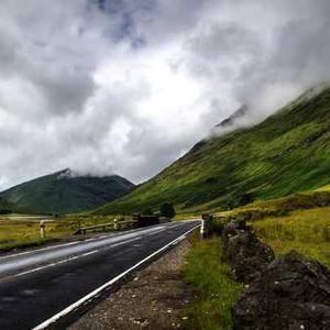 Portable Pet Stroller
