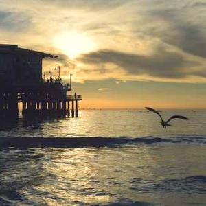 Smartphone Gimbal Stabilizer