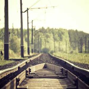 Canvas High-Top Sneakers