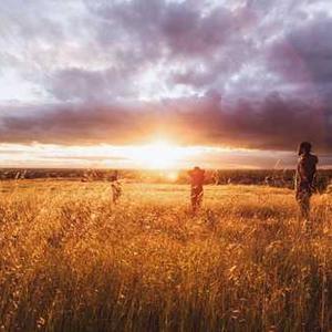 Digital Drawing Tablet