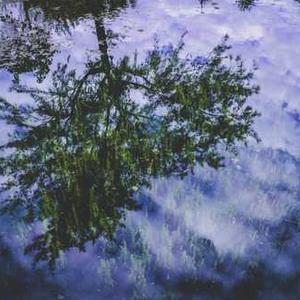 Winter Insulated Jacket