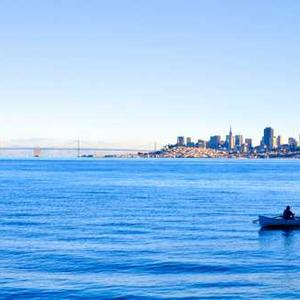 Portable Massage Table