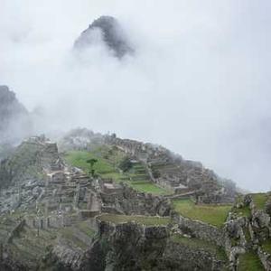 Reusable Coffee Filter