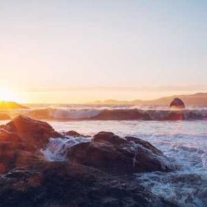 Stainless Steel Grater