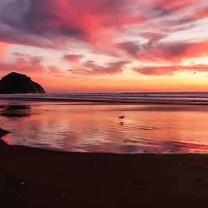 Heavy-Duty Utility Tote